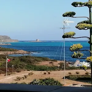 La Finestra Sulla Torre Stintino